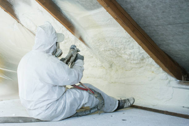 Best Spray Foam Insulation  in Federalsburg, MD